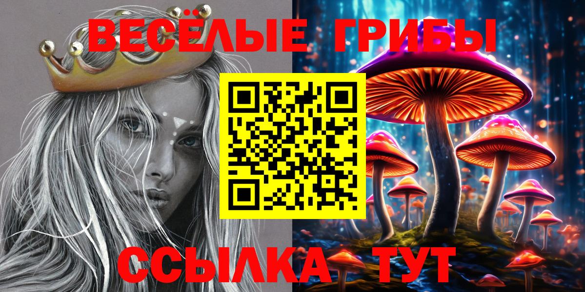 Псилоцибиновые грибы Psilocybine cubensis Мурманск